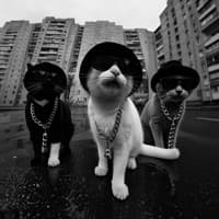 На мурмулях - Это Радио