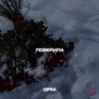 Поверила - opm.