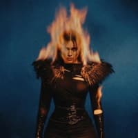 Феникс - BEARWOLF