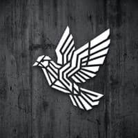 Одинокий голубь - DJZHUKOV